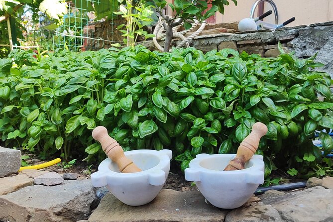BarCa Winery Cinqueterre Trekking & Wine Tasting & Pesto Class - Scenic Vistas and Highlights