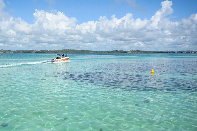 Beach Day In Maragogi With Catamaran Tour - Catamaran Tour Experience