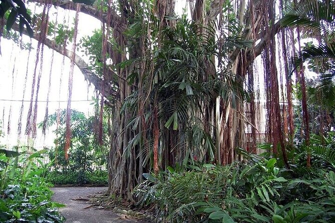 Beach Excursion in Tortola and Sightseeing in Fahie Hills - Tour Experience