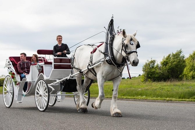 Beacon Hill Park Horse-Drawn Carriage Experience in Victoria - Booking Process