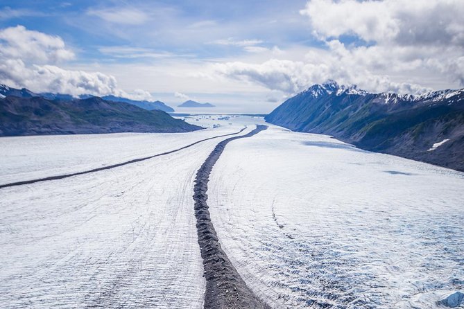 Bear Glacier Scenic Flight - Meeting Point and Pickup Options