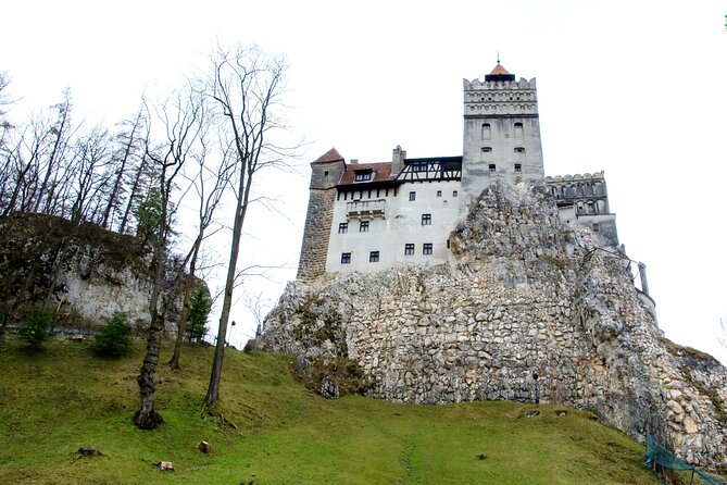 Bear Sanctuary and Bran Castle From Brasov - Reviews and Ratings