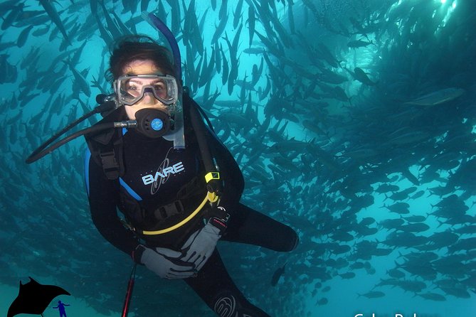 Beginner Scuba Diving in Cabo San Lucas - Experience Highlights