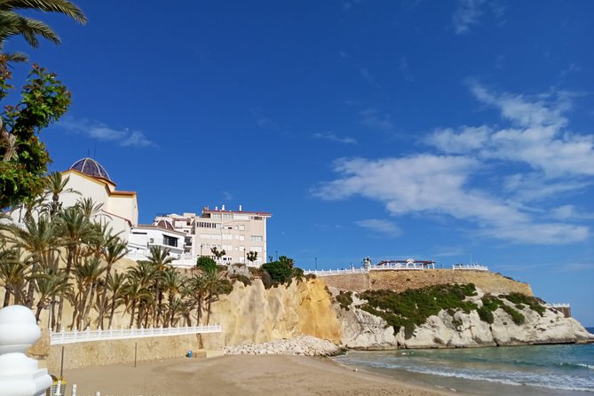 Benidorm to Alicante Airport Transfer Review - Operating Hours