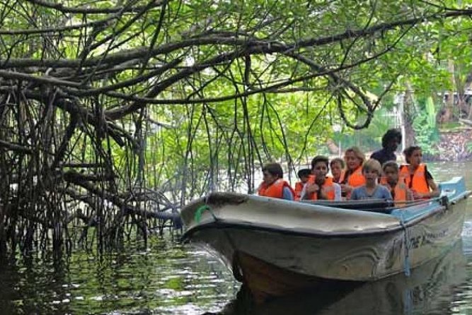 Bentota River Boat Safari With Private Boat Beruwala/Bentota/Kosgoda/Ahungalla - Tour Inclusions and Amenities