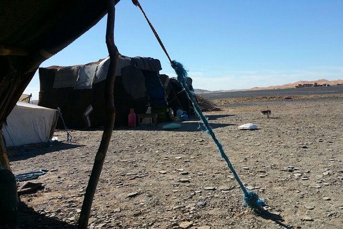Berber Experience Private Sahara Desert Day Trip - Accessibility and Dietary Options