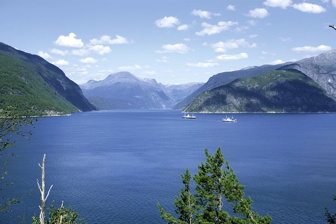 Bergen: Private Full-Day Roundtrip to Hardangerfjord With Cruise - Guide Quality and Customer Feedback