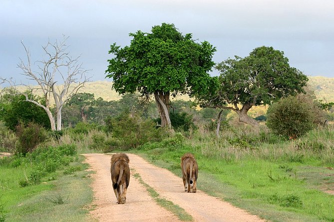 Best 4 Days Tanzania Sharing Group Safari - Pickup and Meeting Points