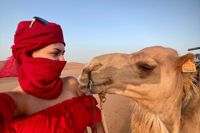 Best Fes to Merzouga Desert Tour 2 Days - Berber Culture and Entertainment