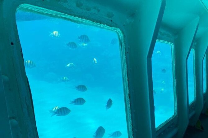Best of Roatan by Land and Sea - Cultural Insights With Guide