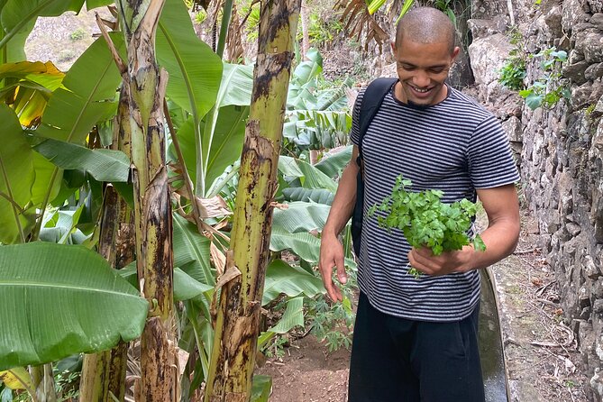 Best of Santo Antão: 3 Days Hiking Tour - Health and Safety Guidelines