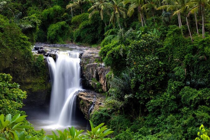 Best of Ubud: Rice Terrace, Temple and Waterfall Private Tour - Recommendations for Travelers