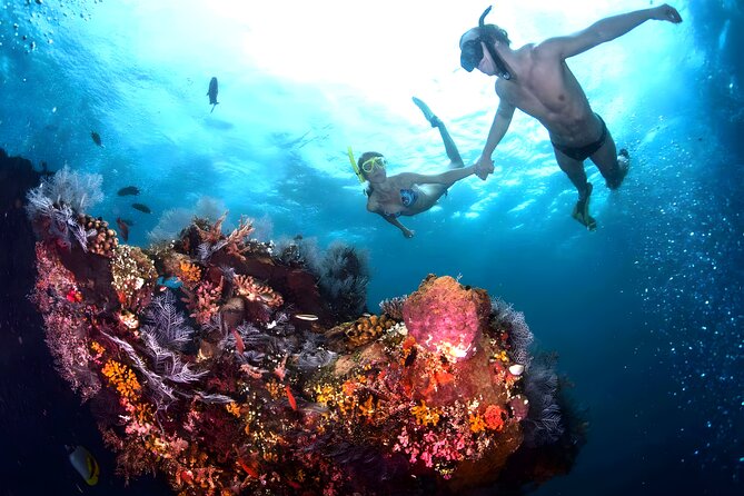 Best Snorkeling Activity in Blue Lagoon Beach Bali - Whats Included in the Package