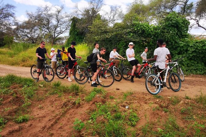 Bicycle Hire - Accessibility Features