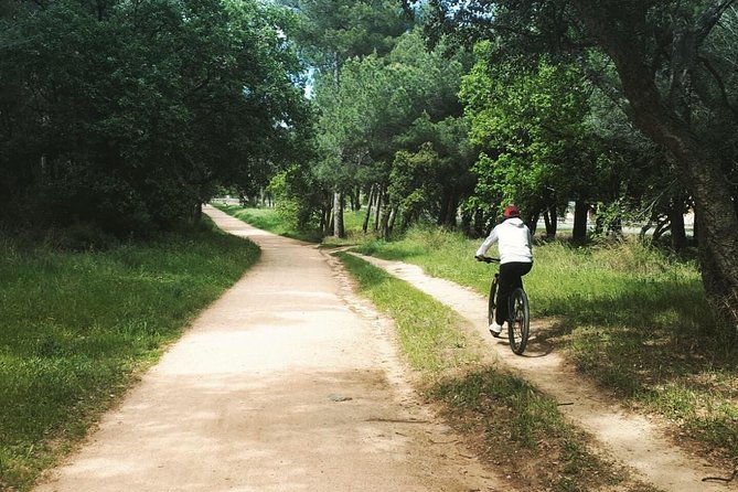 Bicycle Rental - Accessibility and Participation