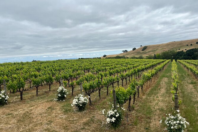 Big Bus San Francisco: Napa and Sonoma Valley Wine Tour - Vineyard Highlights and Attractions