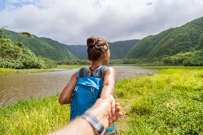 Big Island - Kohala Coast & Backcountry Driving Tour - User Experience and Flexibility