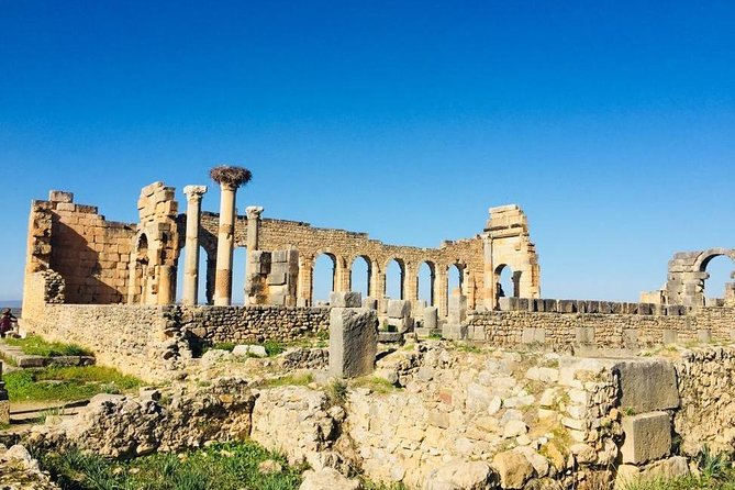 Big Morocco Tour 15 Days From Casablanca - Cultural Experiences