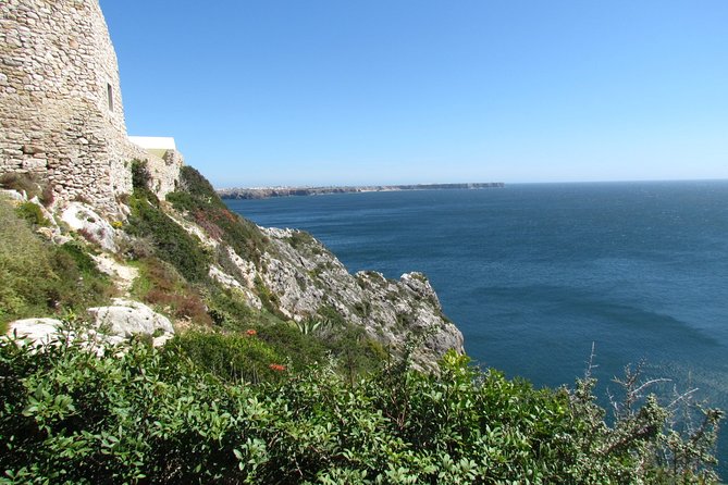 Birdwatching Day Around Sagres - Guided Tour and Exploration