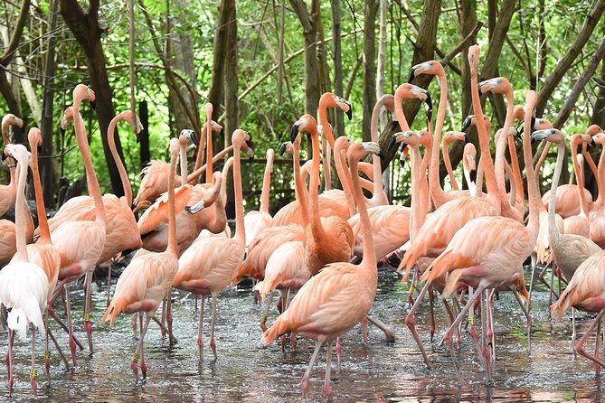 Birdwatching National Aviary Cartagena De Indias - Visitor Feedback