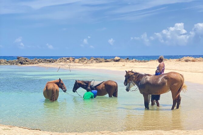 Birthday Celebration Experience in Jamaica + Transportation - Suitability and Physical Requirements