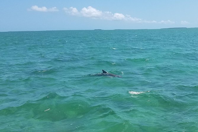 Biscayne National Park By Boat With Island Visit and Park History - Wildlife Sightings on the Tour
