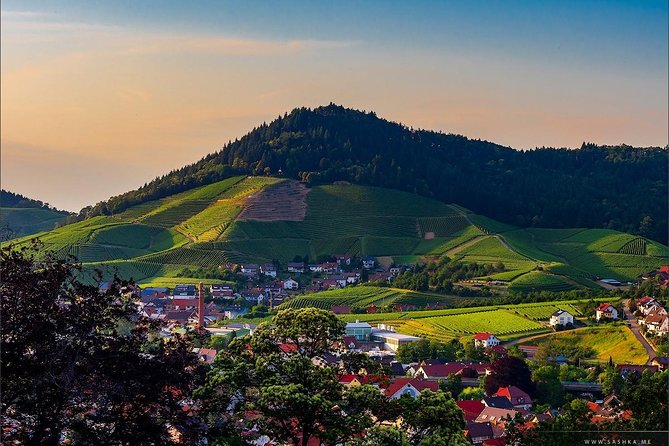 Black Forest. From Baden-Baden to Strasbourg. Two Countries in One Day - Inclusions