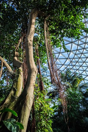 Bloedel Conservatory Admission Ticket - Accessibility and Accommodations