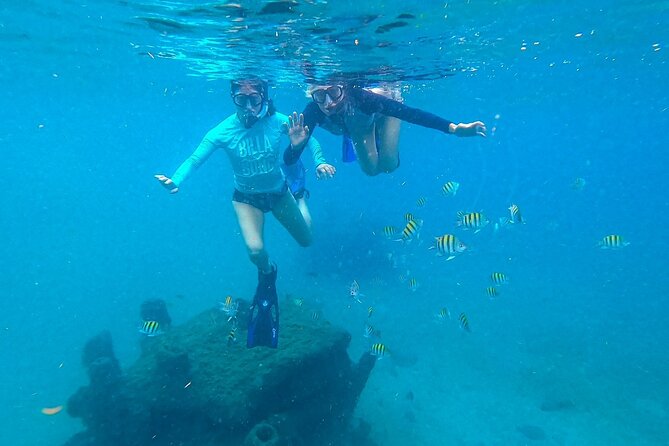 Blue Heron Bridge Guided Snorkel Tour - Meeting and Pickup Details