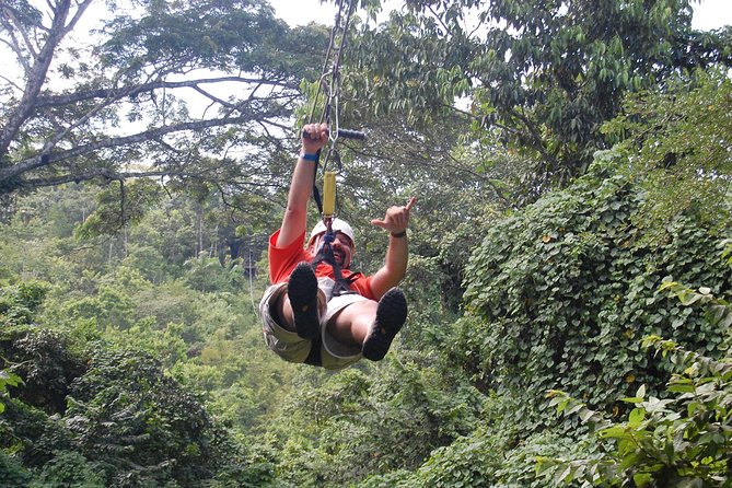 Blue Hole, Zipline and Dunns River Falls From Falmouth - Ziplining Adventure