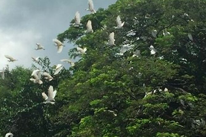 Boat Tour in Palo Verde River | Near Nicoya - Cancellation and Flexibility