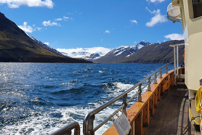 Boat Tours From Siglufjörður - Traveler Photos
