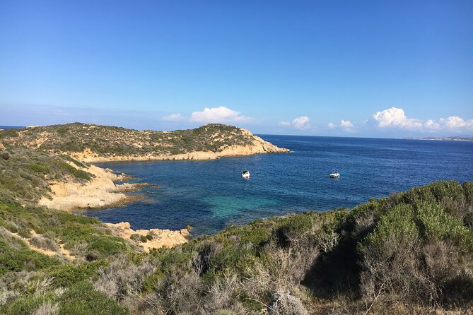 Boat Trip and Snorkeling in Calvi Review - Mixed Experiences