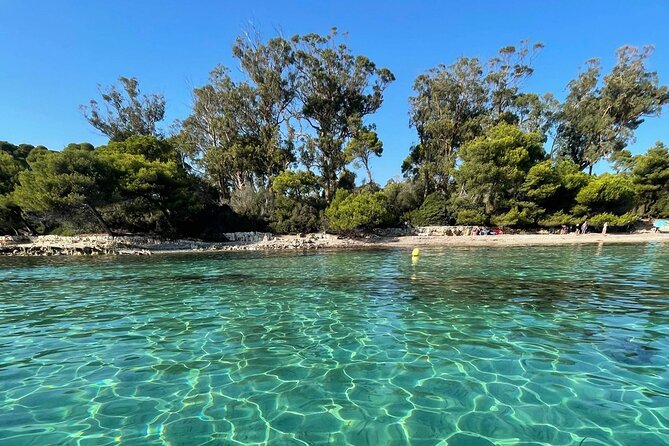 Boat Trip to the Lérins and Cannes Islands - Preparing for the Excursion