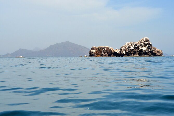 Boating Along the Coastline of San Carlos With a Marine Biologist - Health and Safety Guidelines