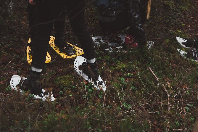 Bog-shoe Hiking Tour - Customer Support and Assistance
