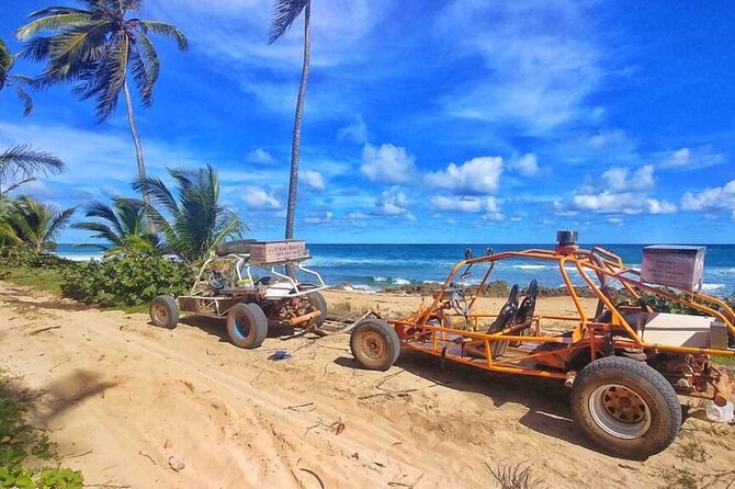 Boogies & ATV - Extreme Adventure in Punta Cana Macao Beach - What to Expect