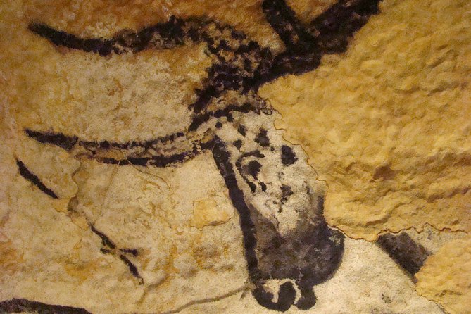 Bordeaux to Lascaux and Dordogne Valley Private Sightseeing Tour - Health and Safety Measures
