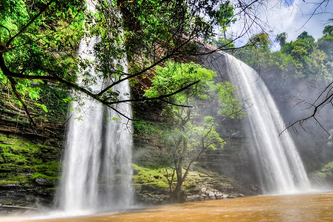 Boti Falls & Aburi Botanical Gardens Experience - Discovering Aburi Botanical Gardens