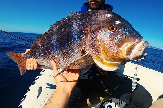 Brac and Solta Island Half Day Fishing Experience - Meeting and Pickup Details
