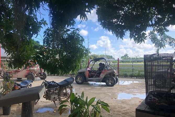 Buggies Half Day Experience and Cenote - Accessibility Considerations