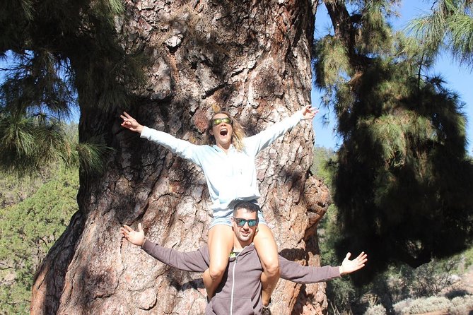 BUGGY TOUR VOLCANO TEIDE With Wine Degustation - Reviews