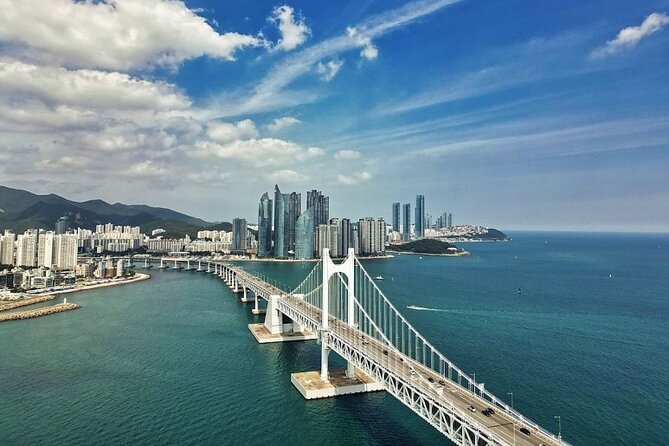 Busan Customized Private Tour via the KTX Train From Seoul - Accessibility Features