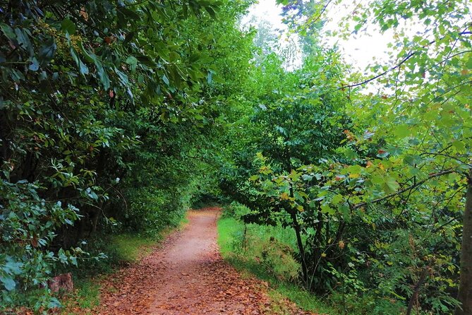 Bussaco Forest Walking Experience, Half Day From Coimbra - Health and Safety