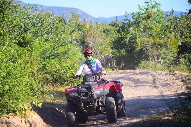 Cabo Candelaria Village Adventure + Tequila Tasting - Health and Safety Information