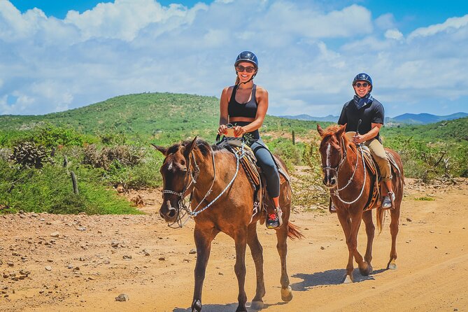 Cabo Horseback Riding on Pacific Beach and Desert - Highlights of the Experience