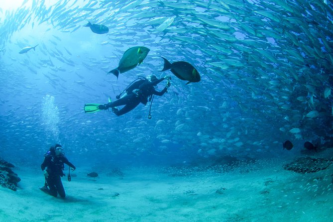 Cabo San Lucas PADI Open Water Certified Diver Course - Health and Safety Requirements