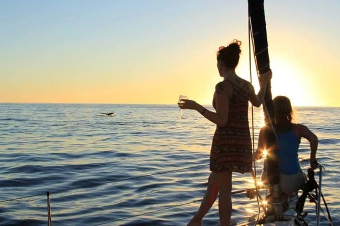 Cabo San Lucas Sunset Sailing Shared Cruise - Highlights of the Sunset Cruise