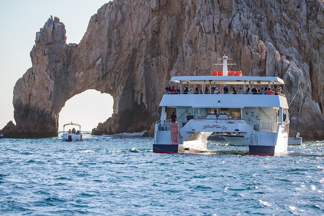 Cabo San Lucas Whale Watching Lunch Cruise - Whale Sighting Success Rate