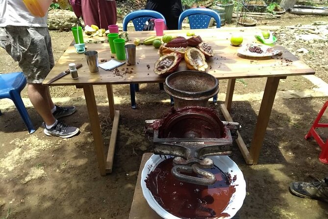Cacao Tour - Pricing and Cancellation Policy